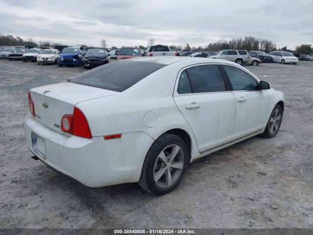 Photo 3 VIN: 1G1ZC5EUXBF194505 - CHEVROLET MALIBU 