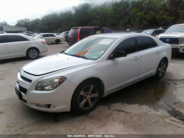 Photo 1 VIN: 1G1ZC5EUXBF246506 - CHEVROLET MALIBU 