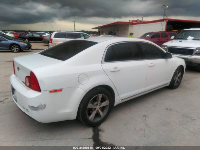 Photo 3 VIN: 1G1ZC5EUXBF246506 - CHEVROLET MALIBU 