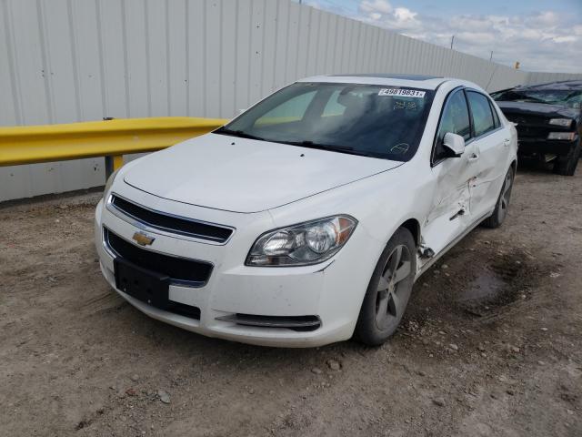 Photo 1 VIN: 1G1ZC5EUXBF367195 - CHEVROLET MALIBU 1LT 