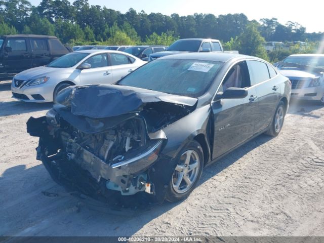 Photo 1 VIN: 1G1ZC5ST2HF102842 - CHEVROLET MALIBU 