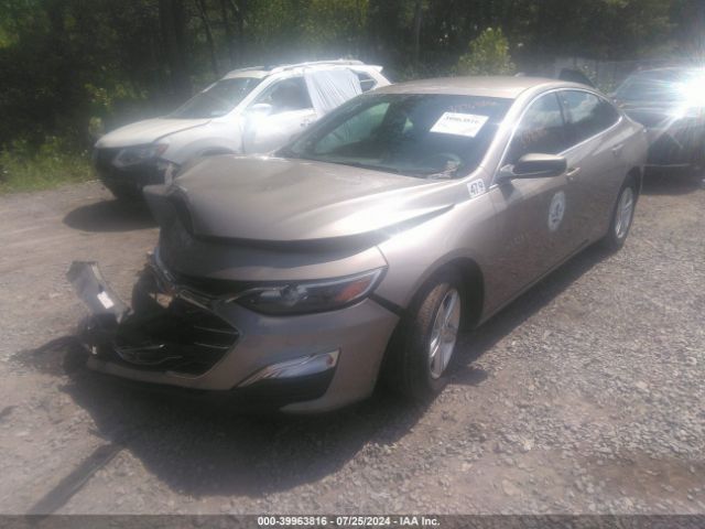 Photo 1 VIN: 1G1ZC5ST4NF179207 - CHEVROLET MALIBU 