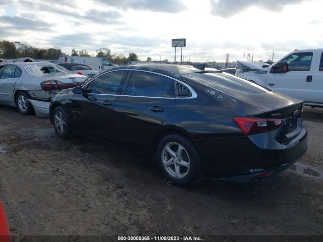 Photo 2 VIN: 1G1ZC5ST5GF278556 - CHEVROLET MALIBU 