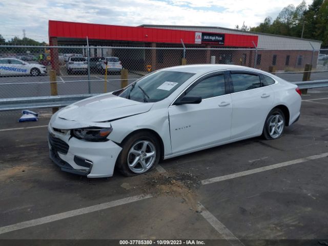 Photo 1 VIN: 1G1ZC5ST5HF171752 - CHEVROLET MALIBU 