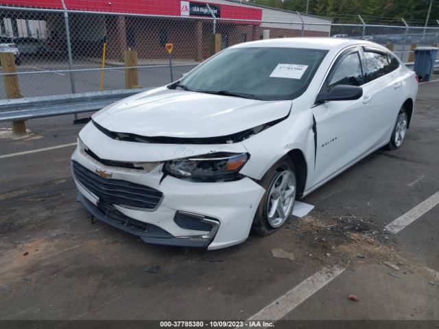 Photo 5 VIN: 1G1ZC5ST5HF171752 - CHEVROLET MALIBU 