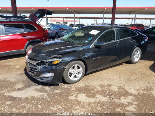 Photo 1 VIN: 1G1ZC5ST5KF208158 - CHEVROLET MALIBU 