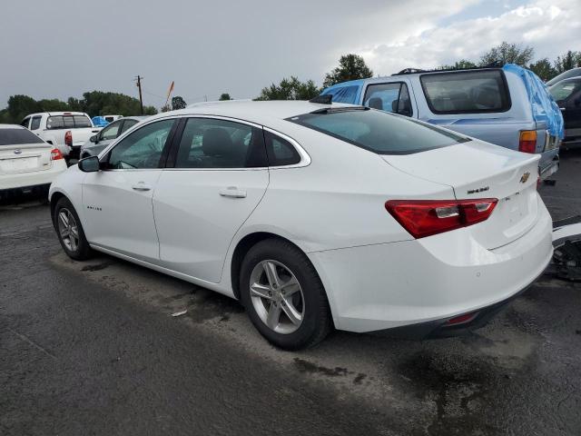 Photo 1 VIN: 1G1ZC5ST5LF106005 - CHEVROLET MALIBU LS 