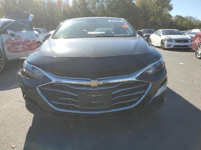 Photo 4 VIN: 1G1ZC5ST5LF108885 - CHEVROLET MALIBU 