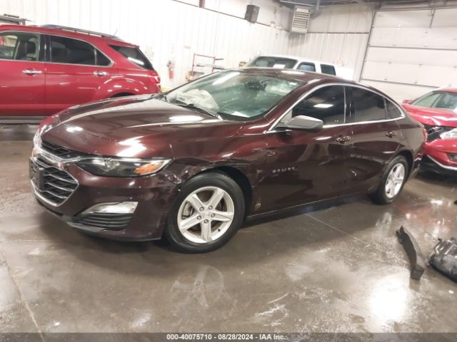 Photo 1 VIN: 1G1ZC5ST5LF144317 - CHEVROLET MALIBU 