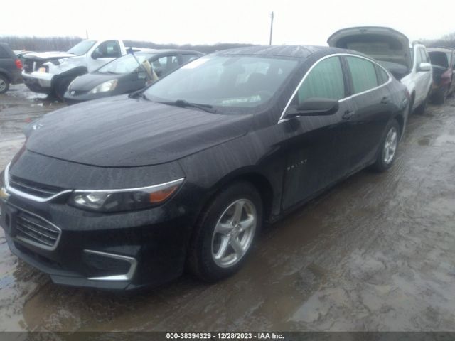 Photo 1 VIN: 1G1ZC5STXGF304231 - CHEVROLET MALIBU 