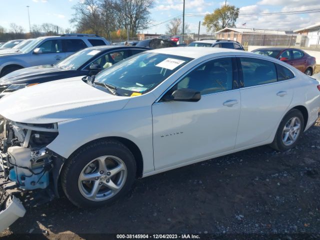 Photo 1 VIN: 1G1ZC5STXHF259163 - CHEVROLET MALIBU 