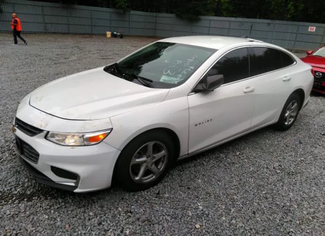 Photo 1 VIN: 1G1ZC5STXHF262578 - CHEVROLET MALIBU 