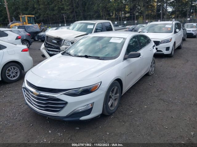 Photo 1 VIN: 1G1ZC5STXLF005851 - CHEVROLET MALIBU 