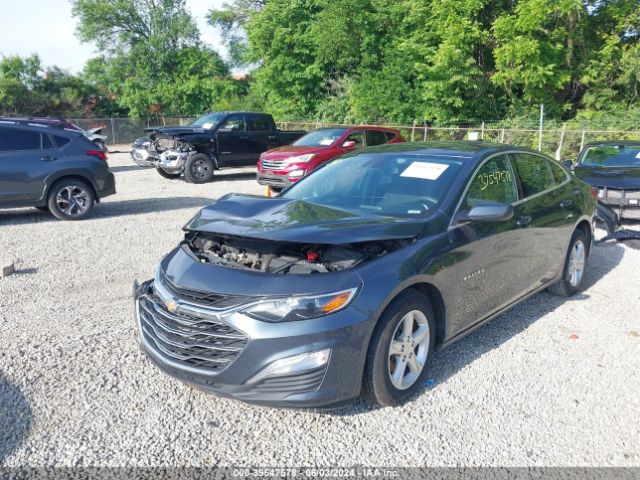 Photo 1 VIN: 1G1ZC5STXMF037250 - CHEVROLET MALIBU 