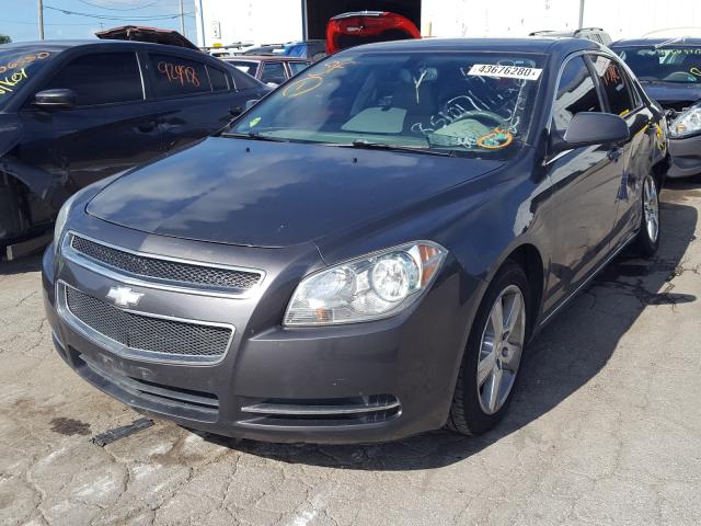 Photo 1 VIN: 1G1ZD5E11BF175344 - CHEVROLET MALIBU 2LT 