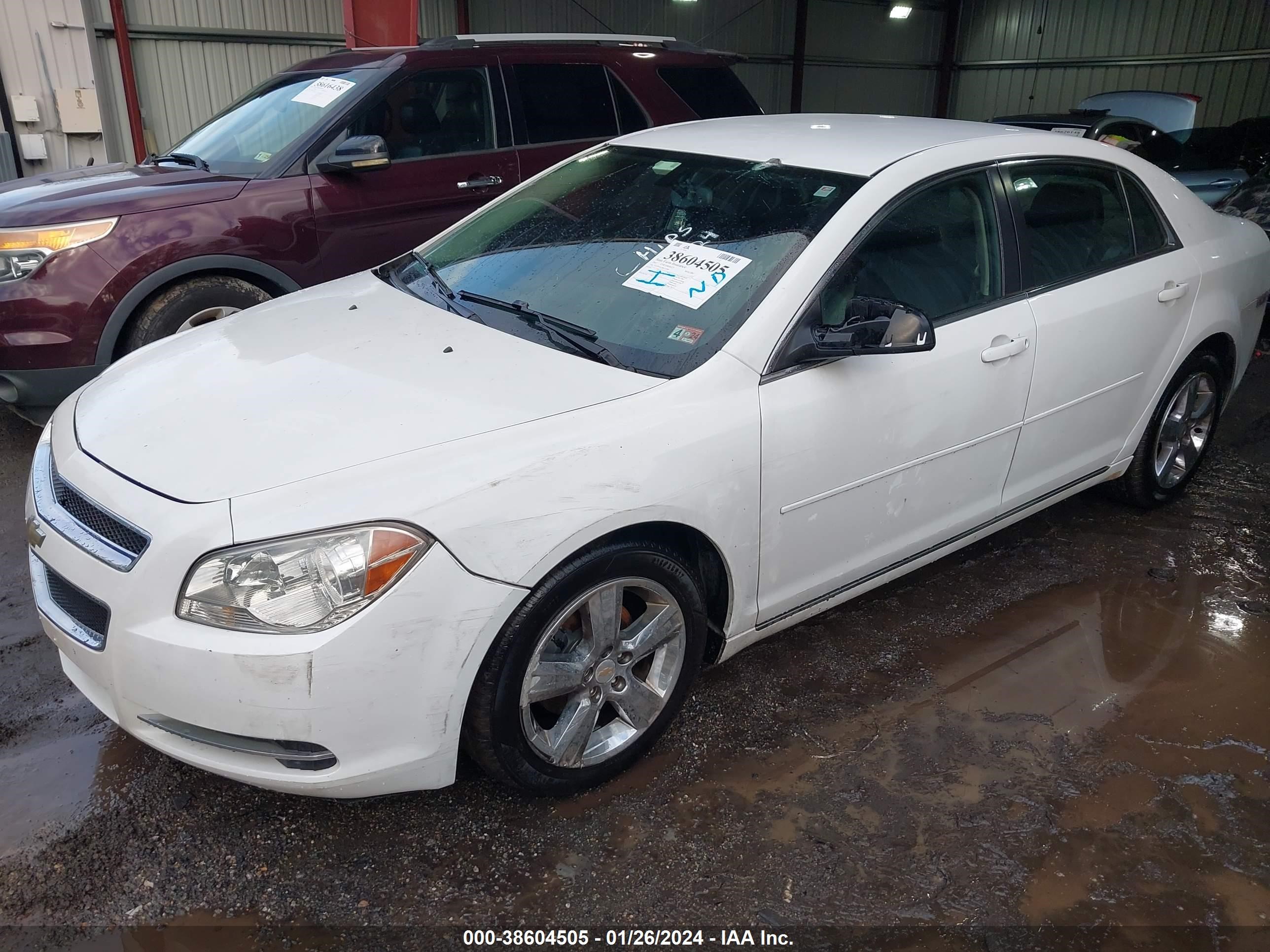 Photo 1 VIN: 1G1ZD5E12BF112494 - CHEVROLET MALIBU 