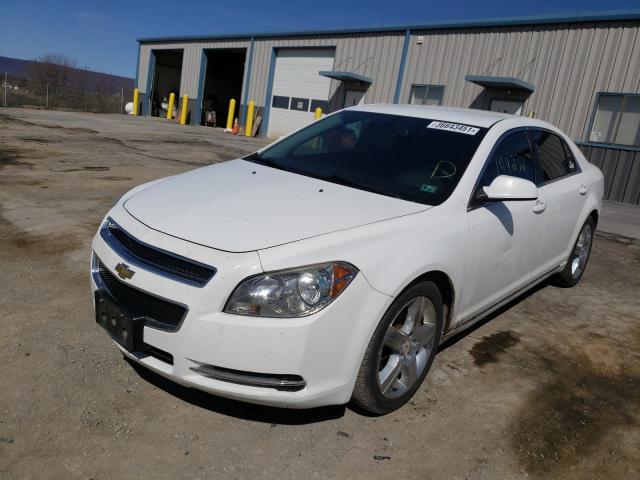 Photo 1 VIN: 1G1ZD5E12BF227564 - CHEVROLET MALIBU 