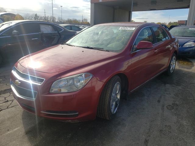 Photo 1 VIN: 1G1ZD5E16BF261944 - CHEVROLET MALIBU 2LT 