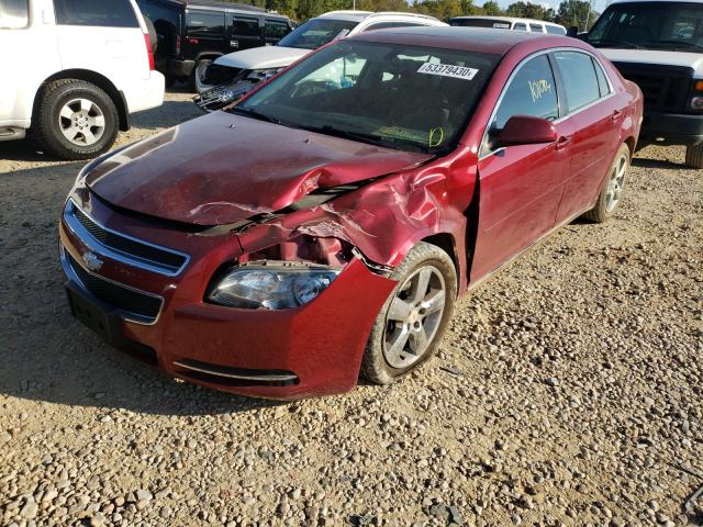 Photo 8 VIN: 1G1ZD5E1XBF125607 - CHEVROLET MALIBU 2LT 