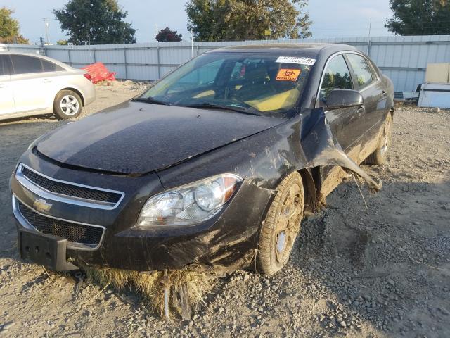 Photo 1 VIN: 1G1ZD5E77BF381305 - CHEVROLET MALIBU 2LT 