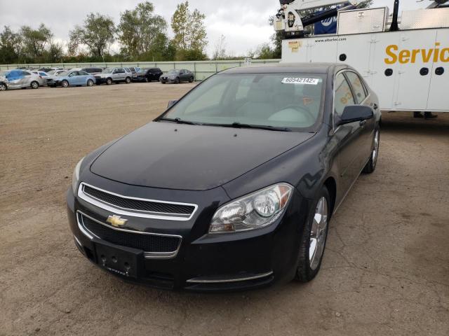 Photo 1 VIN: 1G1ZD5E78BF398341 - CHEVROLET MALIBU 2LT 