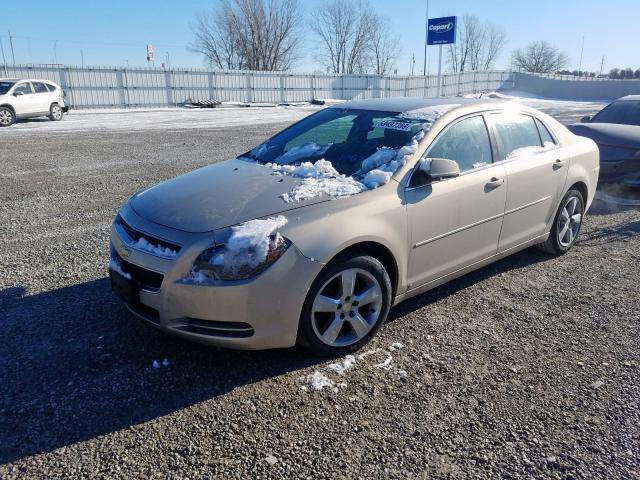 Photo 1 VIN: 1G1ZD5EB5AF111069 - CHEVROLET MALIBU 2LT 