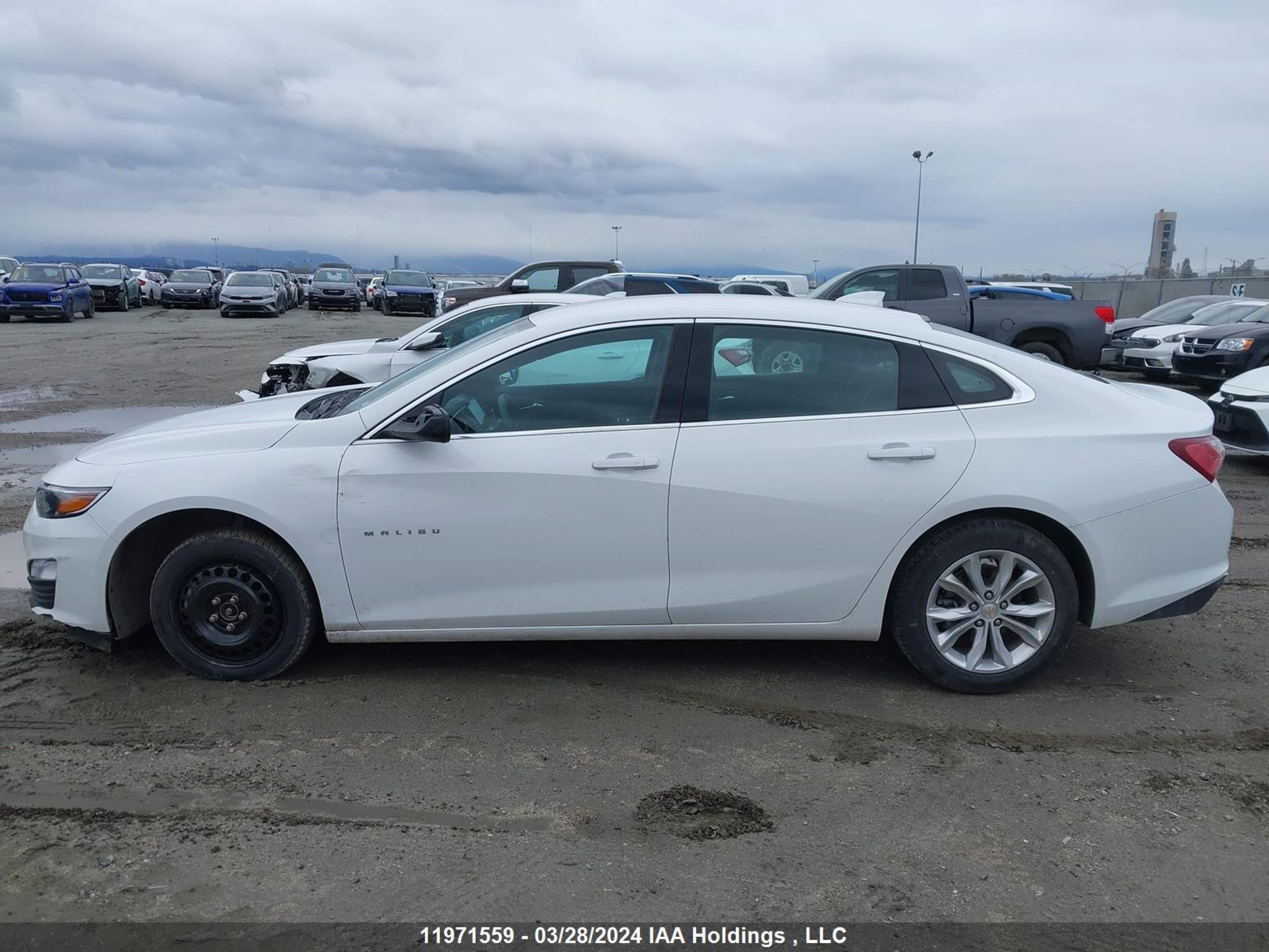 Photo 13 VIN: 1G1ZD5ST0NF110138 - CHEVROLET MALIBU 