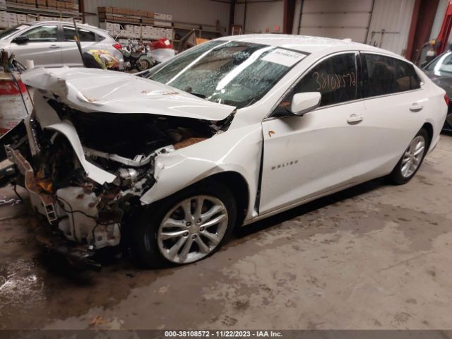 Photo 1 VIN: 1G1ZD5ST1JF231044 - CHEVROLET MALIBU 