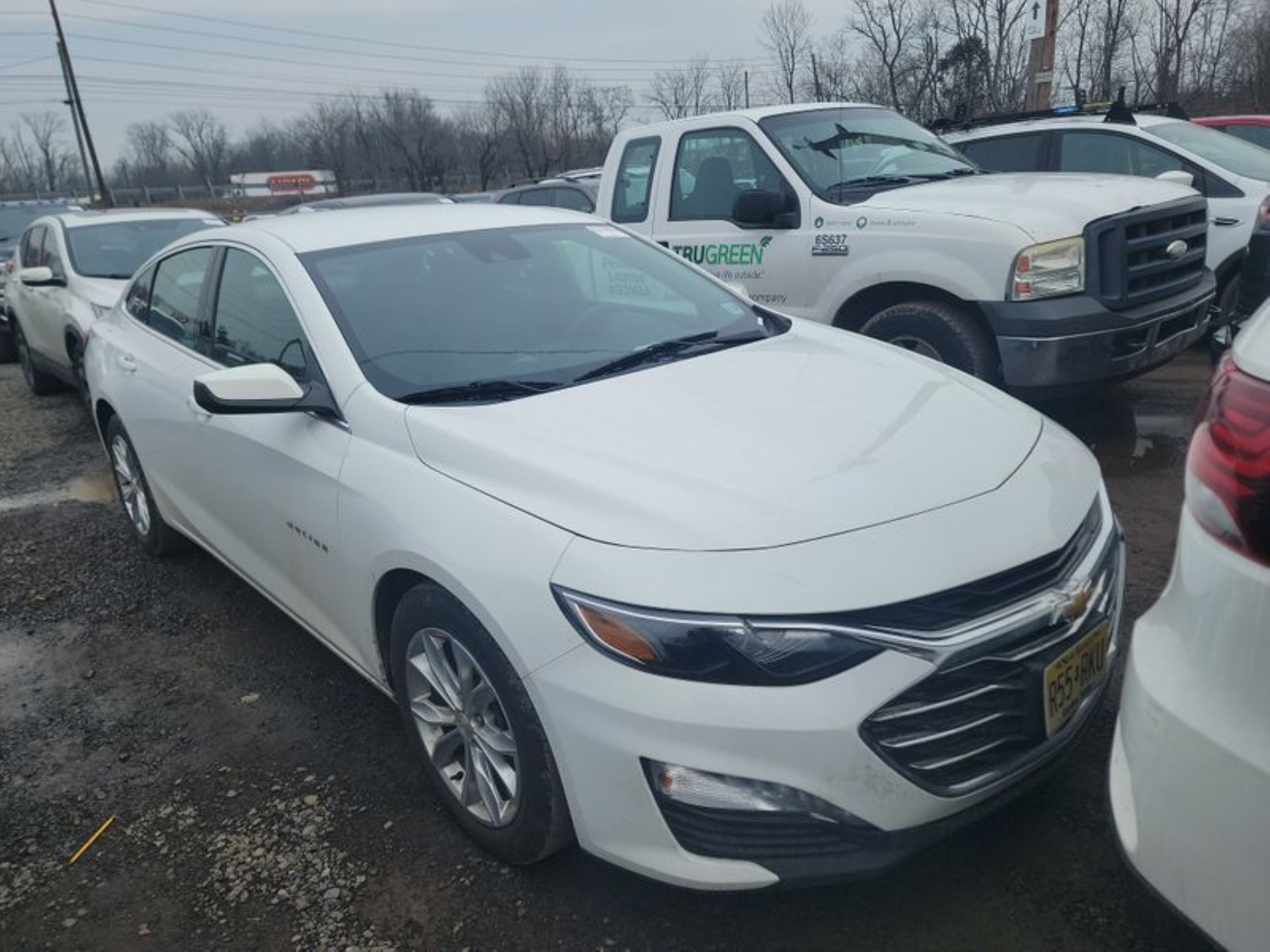 Photo 15 VIN: 1G1ZD5ST1KF155665 - CHEVROLET MALIBU 