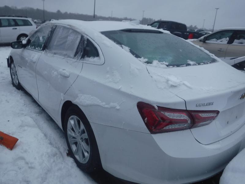 Photo 1 VIN: 1G1ZD5ST1LF045359 - CHEVROLET MALIBU 