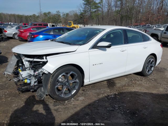 Photo 1 VIN: 1G1ZD5ST1MF021239 - CHEVROLET MALIBU 