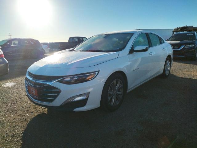 Photo 1 VIN: 1G1ZD5ST5LF093169 - CHEVROLET MALIBU LT 