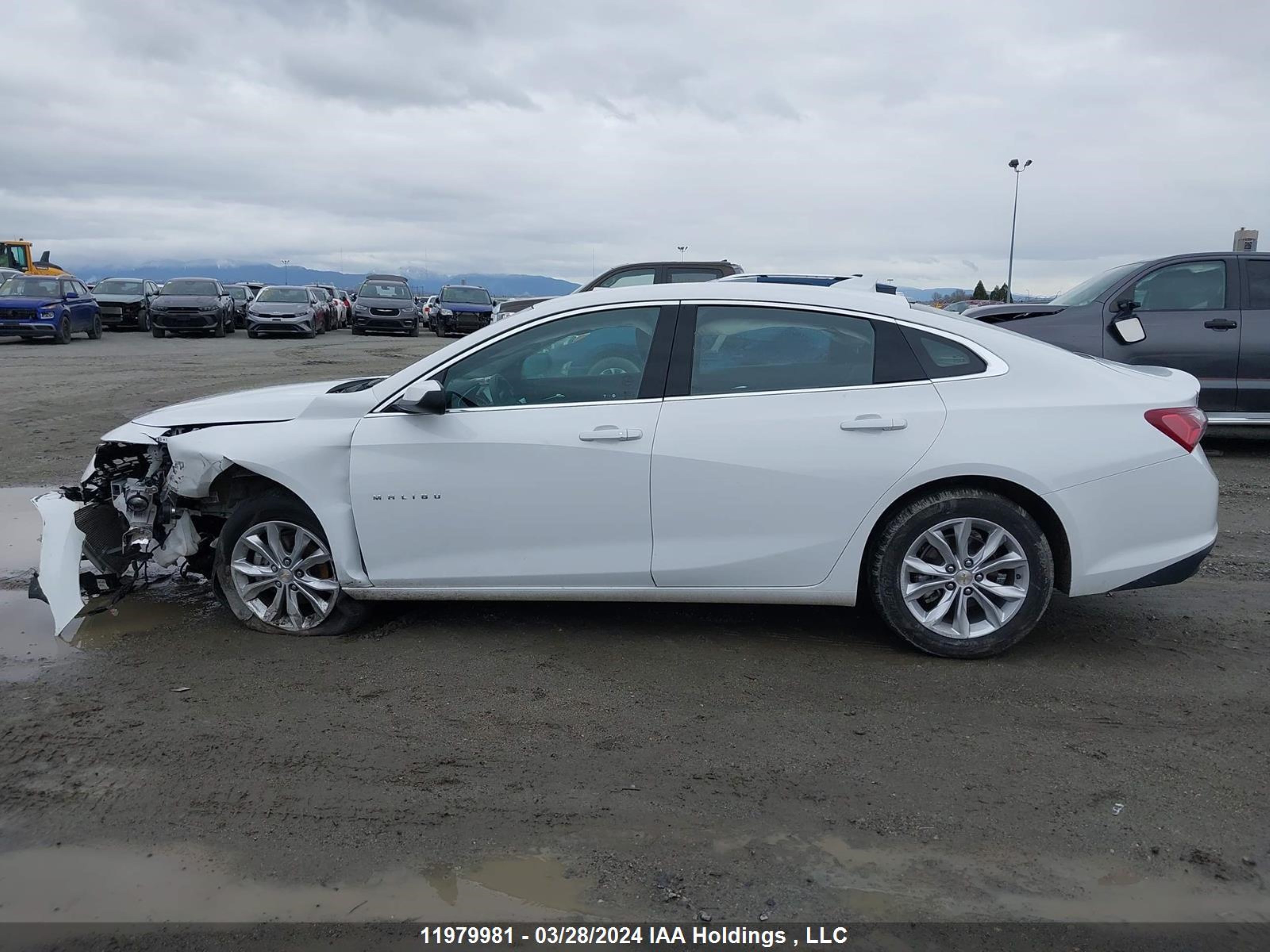 Photo 13 VIN: 1G1ZD5ST6NF143323 - CHEVROLET MALIBU 