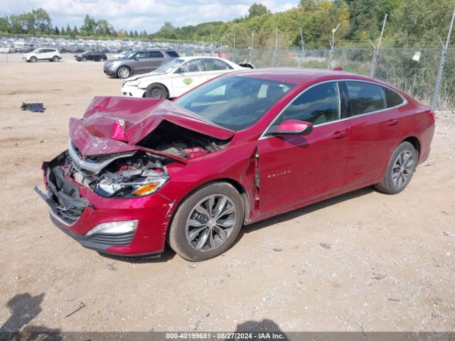 Photo 1 VIN: 1G1ZD5STXKF205592 - CHEVROLET MALIBU 