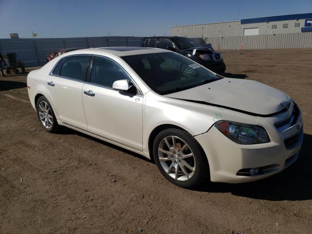 Photo 3 VIN: 1G1ZE5E01CF260898 - CHEVROLET MALIBU 