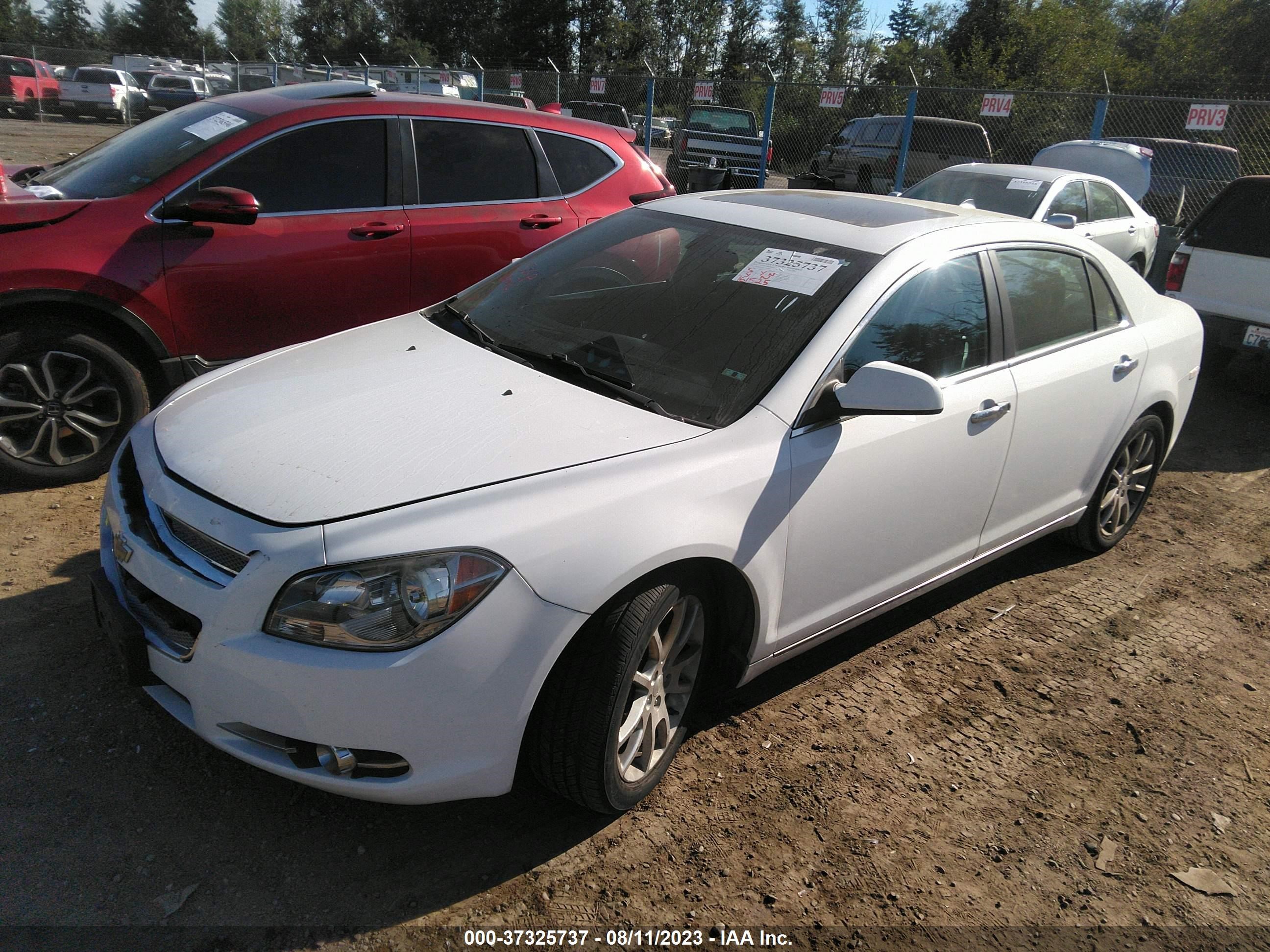 Photo 1 VIN: 1G1ZE5E03CF170295 - CHEVROLET MALIBU 