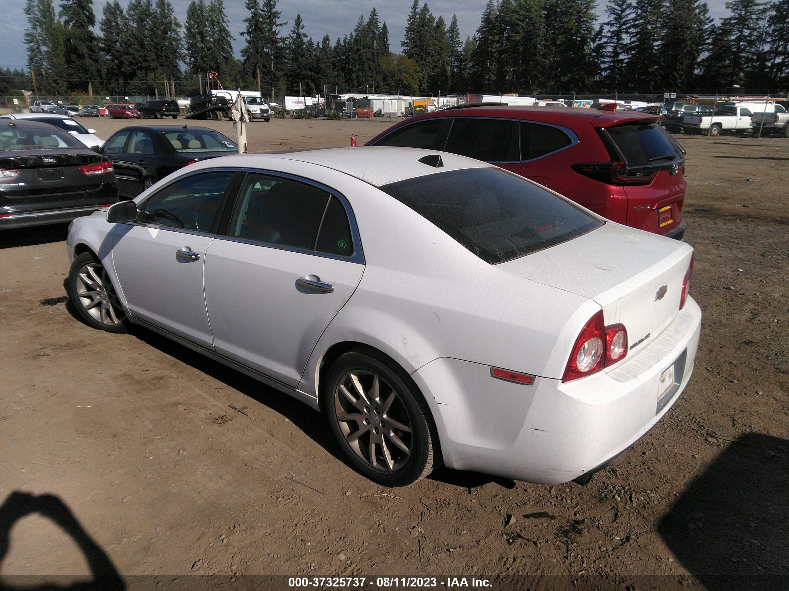 Photo 2 VIN: 1G1ZE5E03CF170295 - CHEVROLET MALIBU 