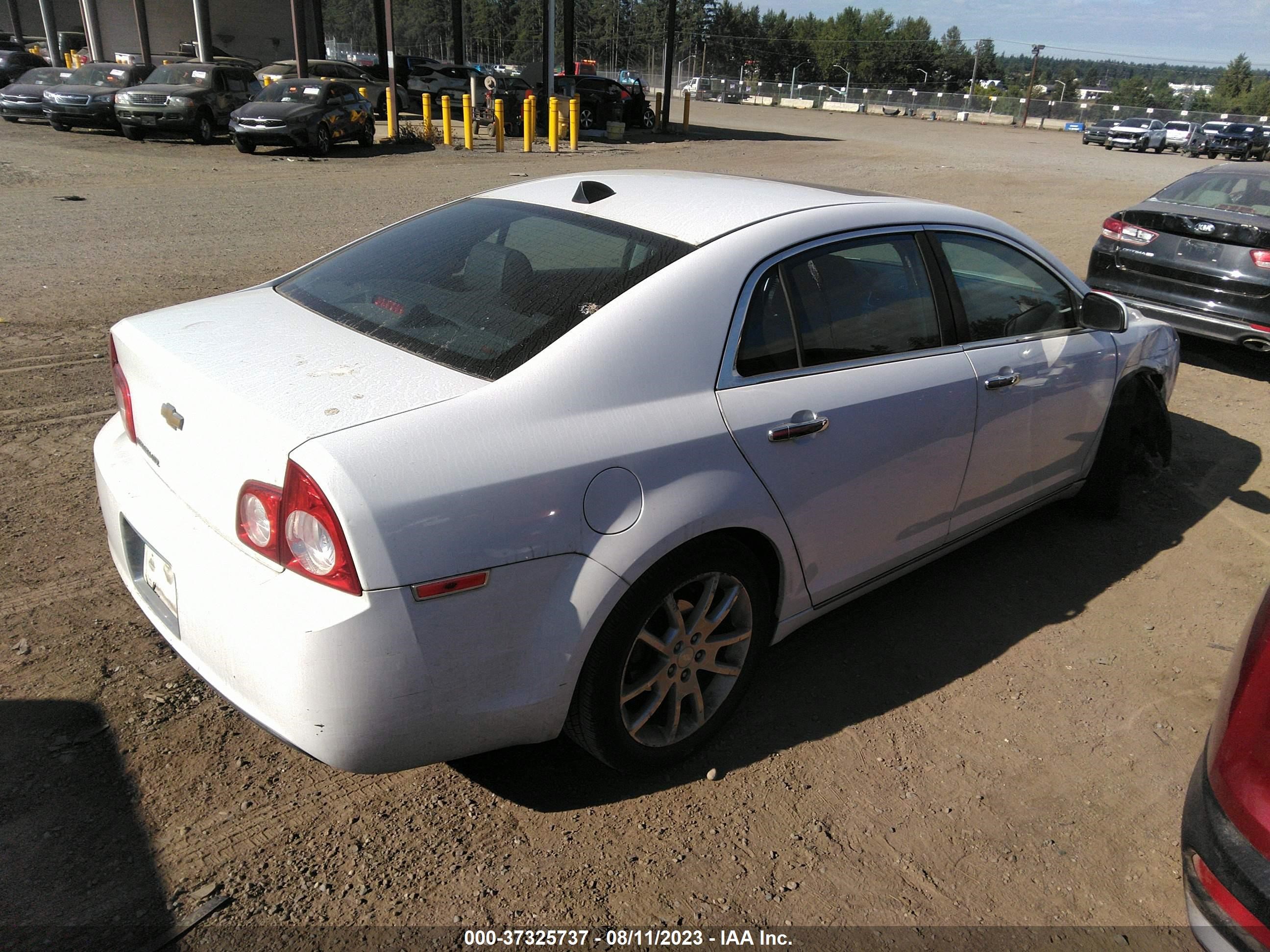 Photo 3 VIN: 1G1ZE5E03CF170295 - CHEVROLET MALIBU 