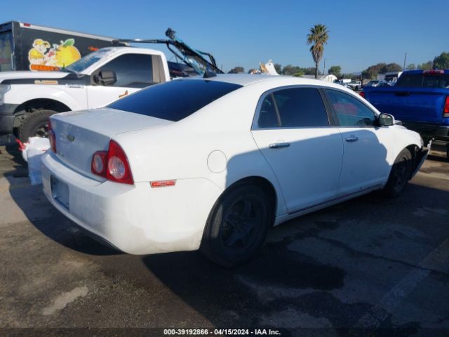 Photo 3 VIN: 1G1ZE5E03CF196265 - CHEVROLET MALIBU 