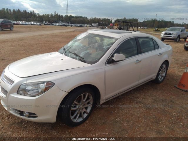 Photo 1 VIN: 1G1ZE5E05CF245501 - CHEVROLET MALIBU 