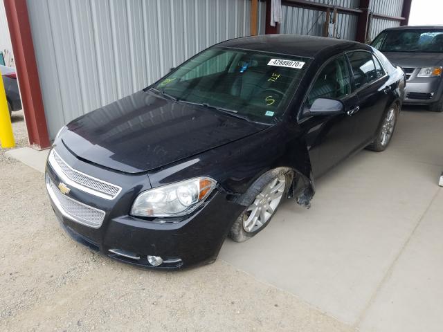 Photo 1 VIN: 1G1ZE5E11BF255966 - CHEVROLET MALIBU LTZ 