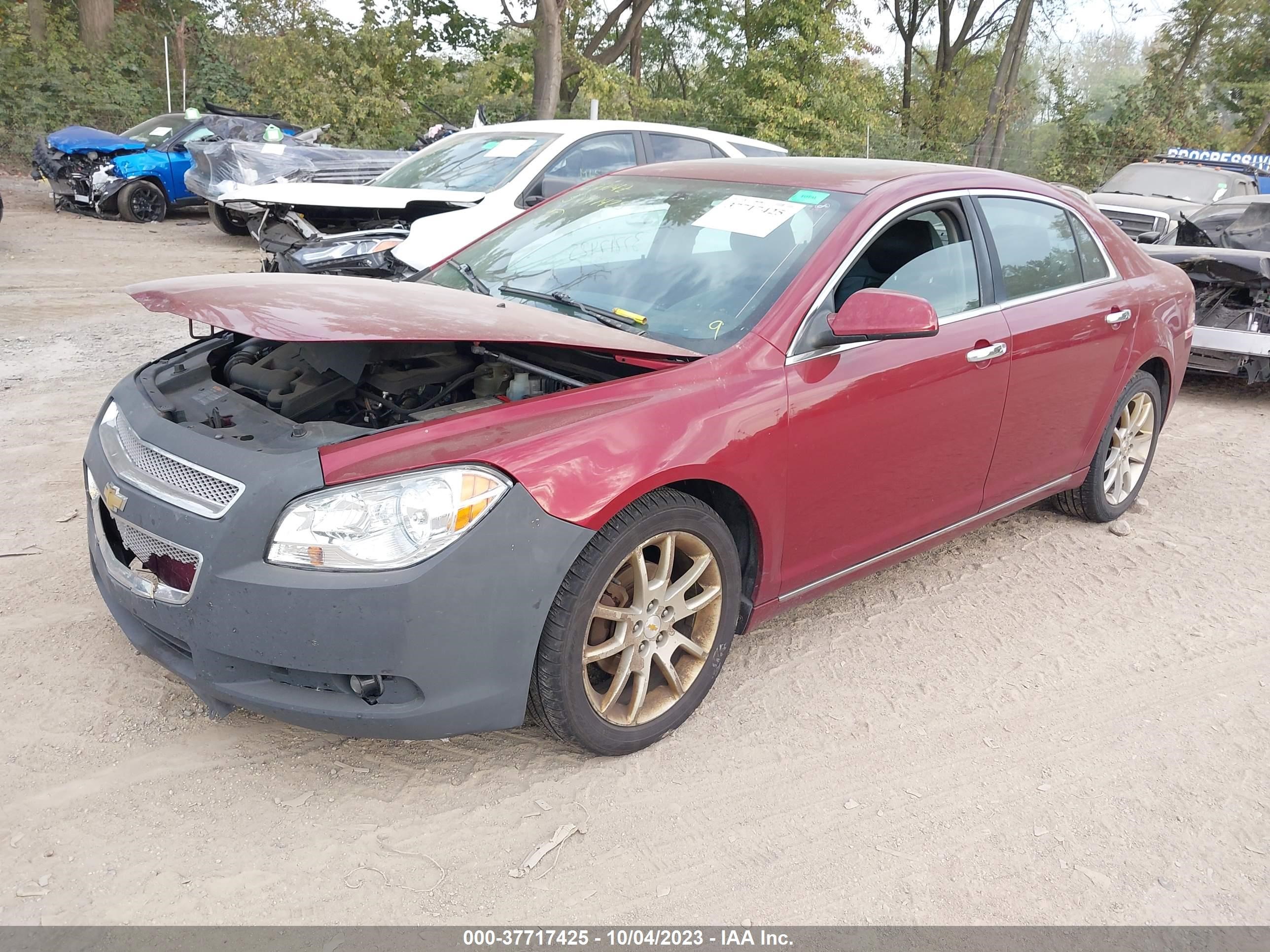 Photo 1 VIN: 1G1ZE5E14BF262359 - CHEVROLET MALIBU 