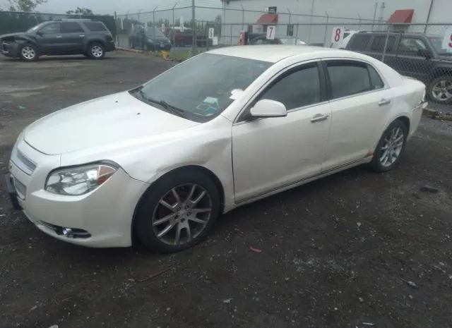 Photo 1 VIN: 1G1ZE5E18BF366837 - CHEVROLET MALIBU 