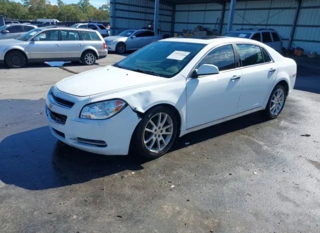 Photo 1 VIN: 1G1ZE5E71BF285974 - CHEVROLET MALIBU 