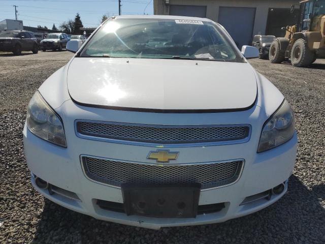 Photo 4 VIN: 1G1ZE5E71BF315068 - CHEVROLET MALIBU 