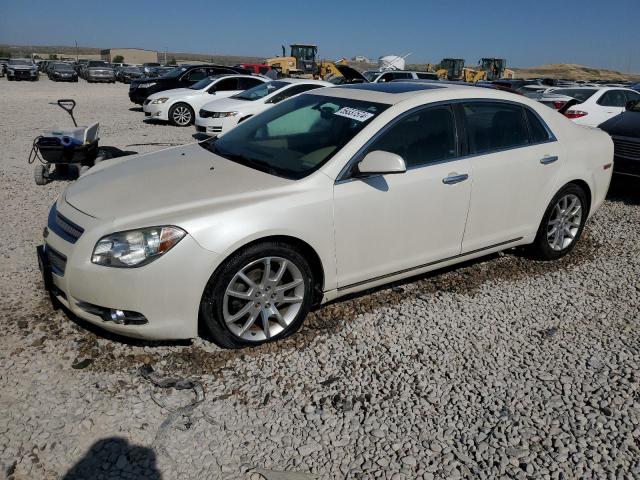 Photo 0 VIN: 1G1ZE5E73AF203404 - CHEVROLET MALIBU 