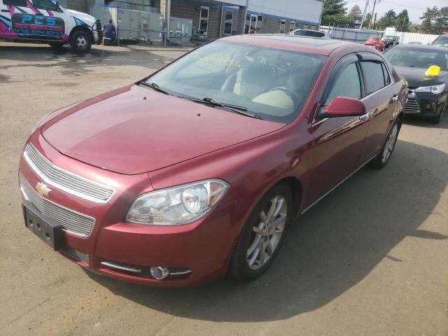 Photo 1 VIN: 1G1ZE5E73AF322845 - CHEVROLET MALIBU LTZ 