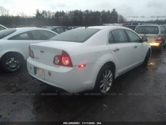 Photo 3 VIN: 1G1ZE5E73BF245637 - CHEVROLET MALIBU 