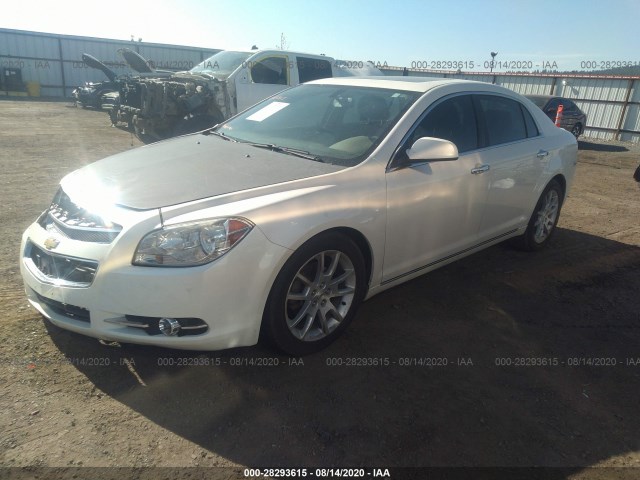 Photo 1 VIN: 1G1ZE5E73BF317419 - CHEVROLET MALIBU 