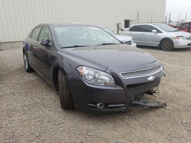 Photo 0 VIN: 1G1ZE5E74BF191846 - CHEVROLET MALIBU LTZ 